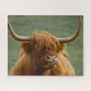 Quebra-cabeça Shaggggg Haired Scottish Highland Cow Nature Anima