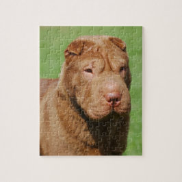Quebra-cabeça Shar Pei