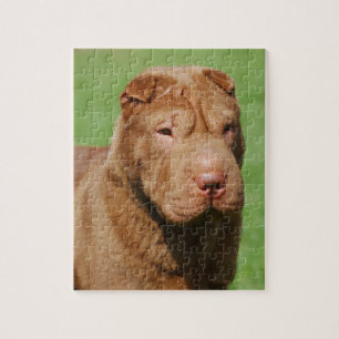 Quebra-cabeça Shar Pei