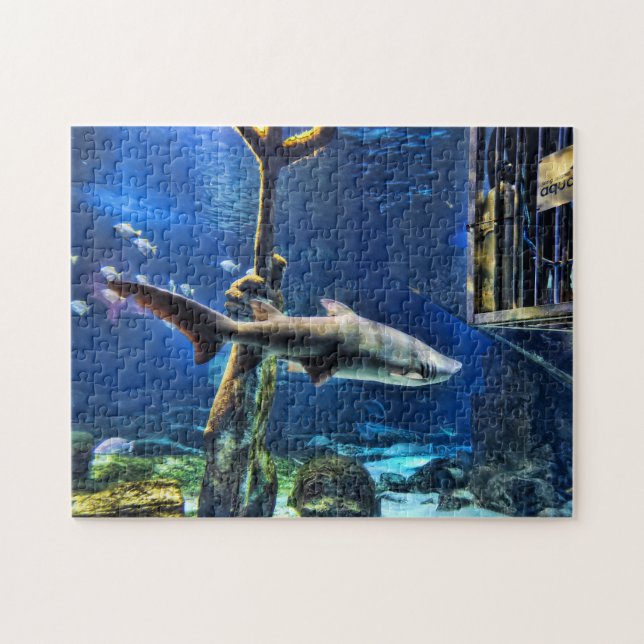 Quebra-cabeça Shark Bait (Horizontal)