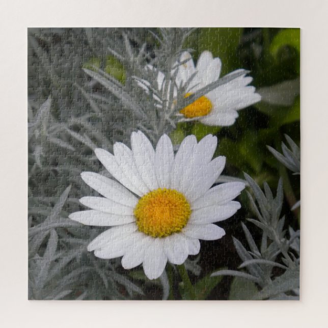 Quebra-cabeça Shasta Daisy Flowers e Artemisia (Vertical)