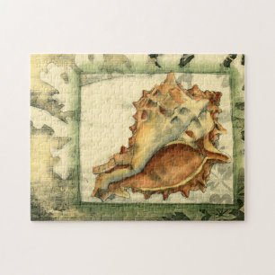 Quebra-cabeça Shell de Conch de Silhueta