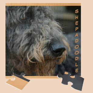 Quebra-cabeça Shepadoodle Próximo e Pessoal