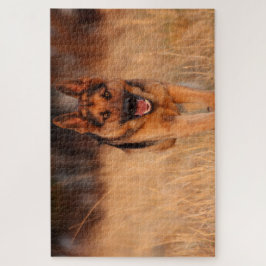 Quebra-cabeça Shephard Male Dog