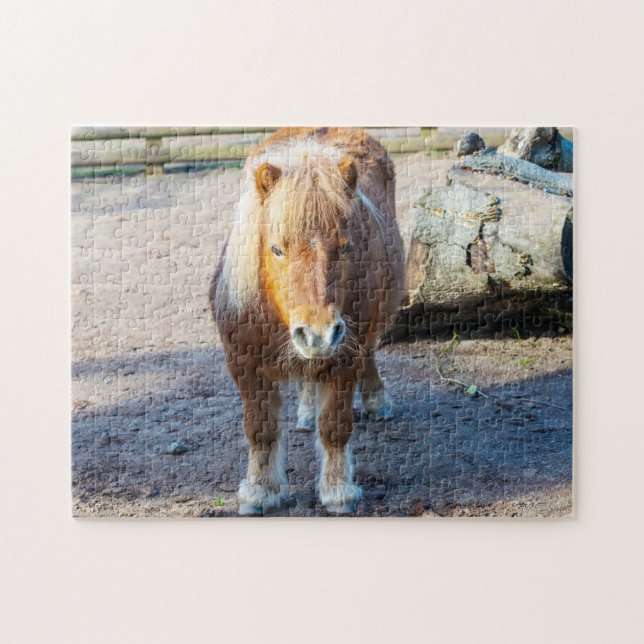 Quebra-cabeça Shetland Pony Jigsaw puzzle (Horizontal)