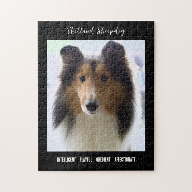 Quebra-cabeça Shetland Sheepdog Photo Dog Breed (Vertical)