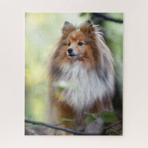 Quebra-cabeça Shetland Sheepdog Sheltie cão pequeno na floresta