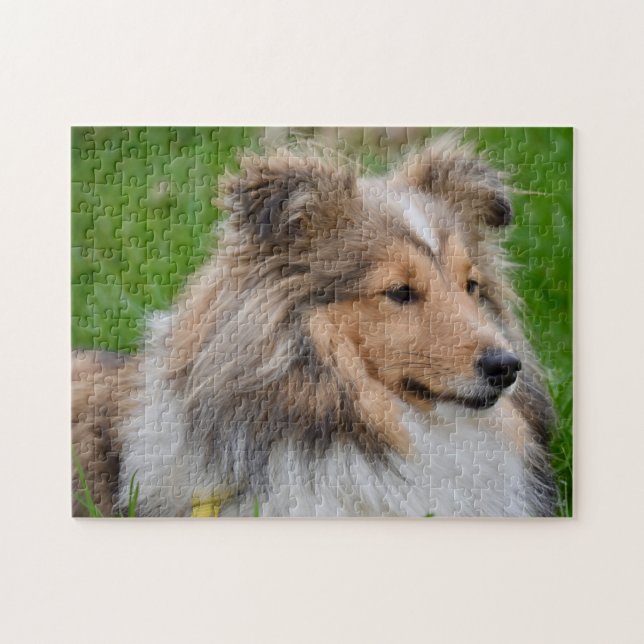 Quebra-cabeça Shetland Sheepdog - Sheltie Dog (Horizontal)