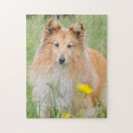 Quebra-cabeça Shetland Sheepdog - Sheltie Dog