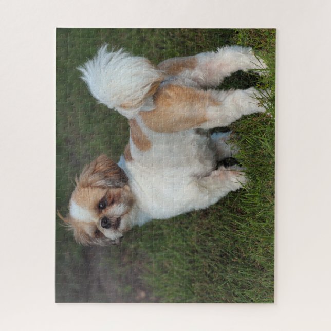 Quebra-cabeça Shih Tzu (Vertical)