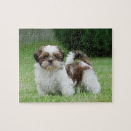 Quebra-cabeça Shih tzu