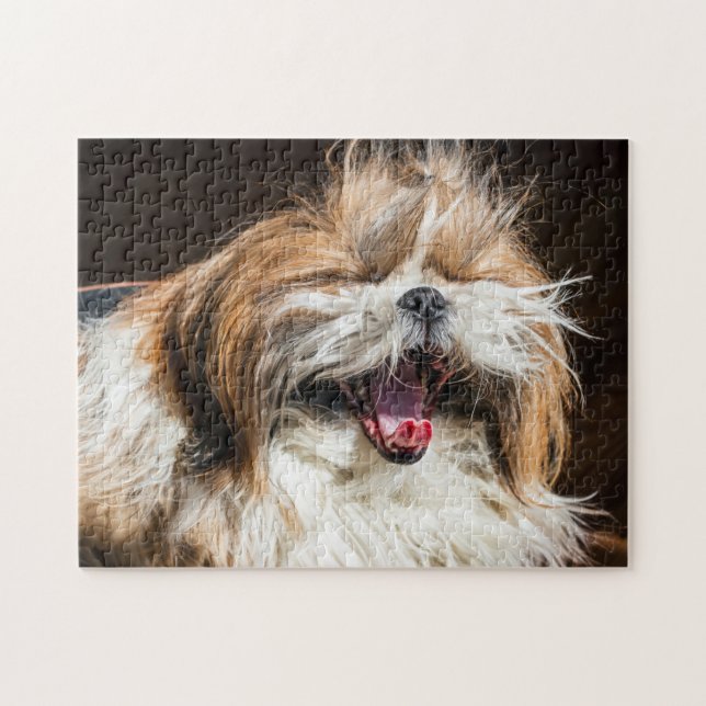 Quebra-cabeça Shih tzu bocejando rindo engraçado (Horizontal)