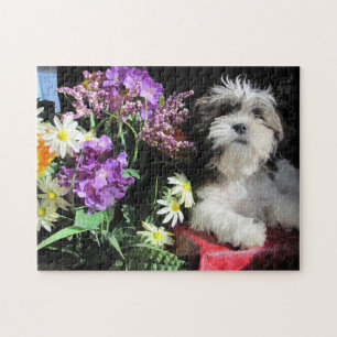 Quebra-cabeça SHIH TZU! … gazuntite.