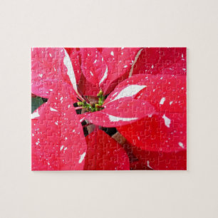 Quebra-cabeça Shimmer Star Surprise Poinsettia Foliday Floral