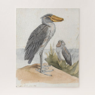 Quebra-cabeça Shoebill Stork 1887 - Impressão Zoológico Africano