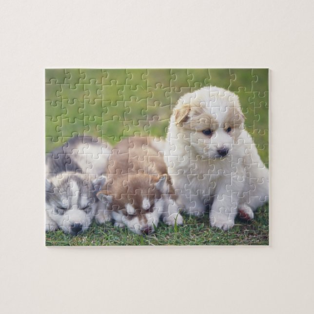 Quebra-cabeça Siberian Husky; uma raça de cão que trabalha (Horizontal)