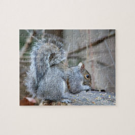 Quebra-cabeça Silver Squirrel