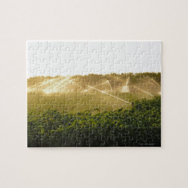 Quebra-cabeça Sistema de irrigação agrícola que molha 2 (Horizontal)