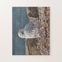 Quebra-cabeça Sleepy Snowy Owl