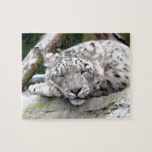 Quebra-cabeça Snow Leopard - beautiful!