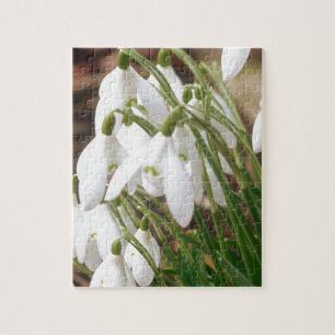 Quebra-cabeça Snowdrops impressionante