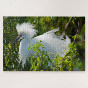 Quebra-cabeça Snowy Egret
