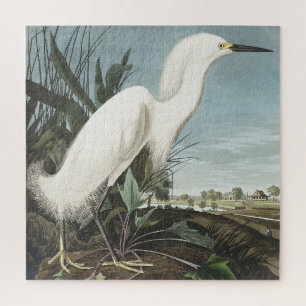 Quebra-cabeça Snowy Heron ou White Egret de Birds da América