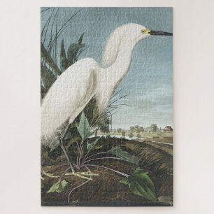 Quebra-cabeça Snowy Heron ou White Egret de Birds da América