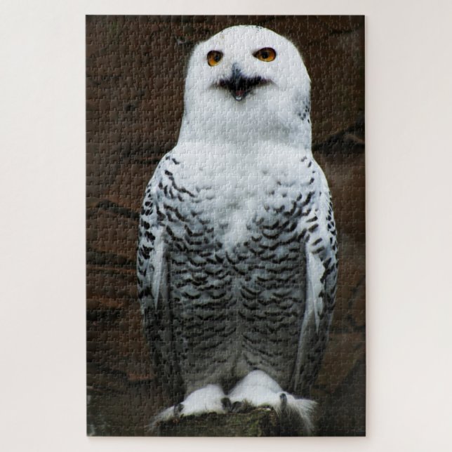 Quebra-cabeça Snowy Owl 20x30 1014pc jpcna (Vertical)