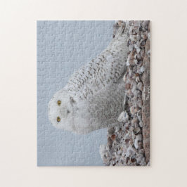 Quebra-cabeça Snowy Owl nas conchas
