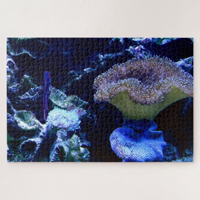 Quebra-cabeça Sob O Mar (Horizontal)