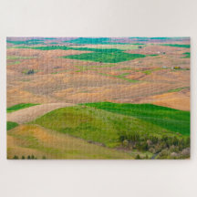 Sobre a Palha Pintada do Duro do Botão Steptoe