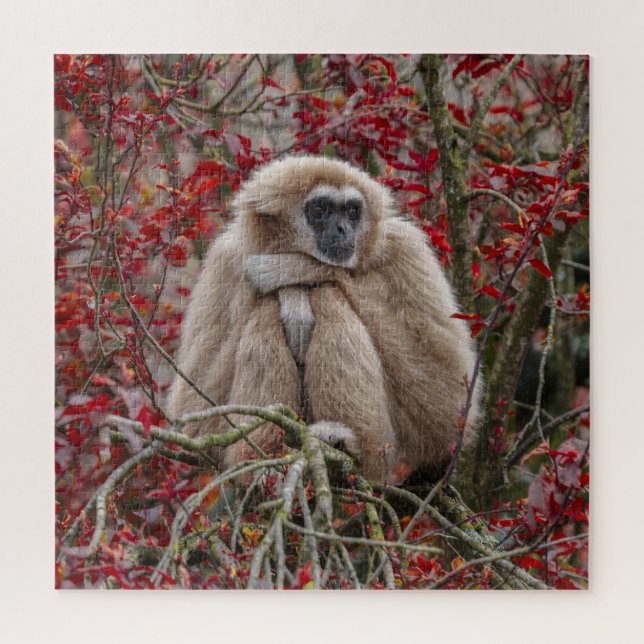 Quebra-cabeça Solitude de Gibbon (Vertical)