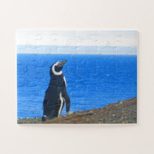 Quebra-cabeça solo pinguim