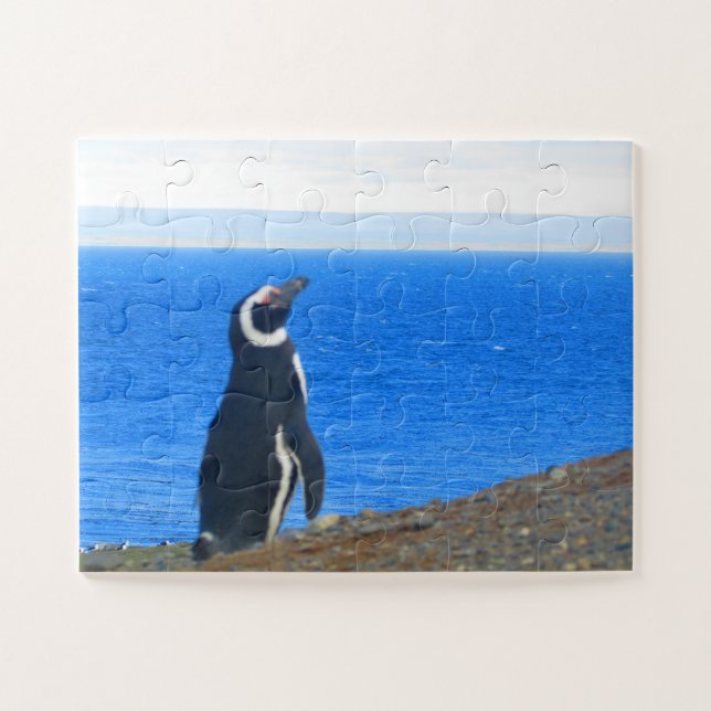 Quebra-cabeça solo pinguim (Horizontal)