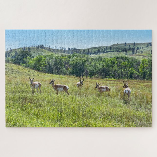 Quebra-cabeça Solteiro Pronghorn Antelopes, Dakota do Sul (Horizontal)
