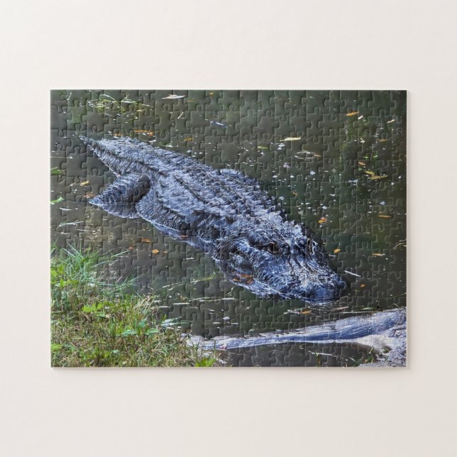 Quebra-cabeça Sombra nas Águas Rasas (Horizontal)