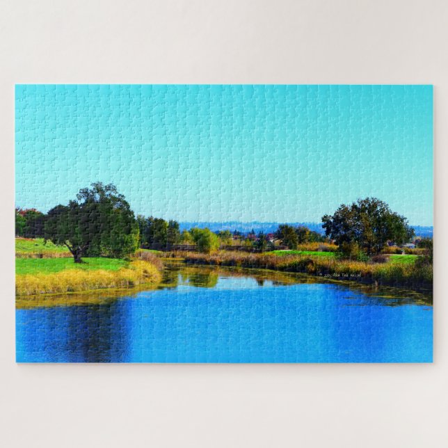 Quebra-cabeça "Sombras de Árvore no Lincoln #2" (Horizontal)