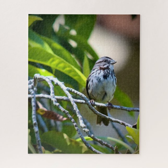 Quebra-cabeça Song Sparrow (Vertical)