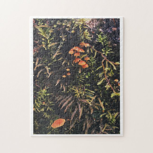 Quebra-cabeça Sonhos Fungos (Vertical)