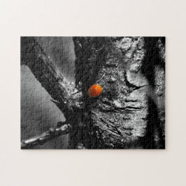 Quebra-cabeça sorriso para um joaninha