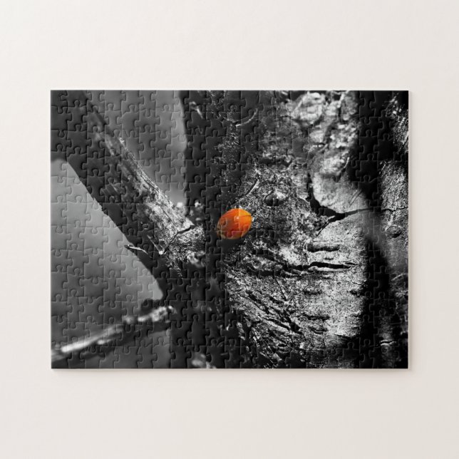 Quebra-cabeça sorriso para um joaninha (Horizontal)