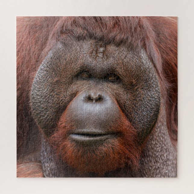 Quebra-cabeça Soul Beneath the Flanges – Orangutan Face (Vertical)