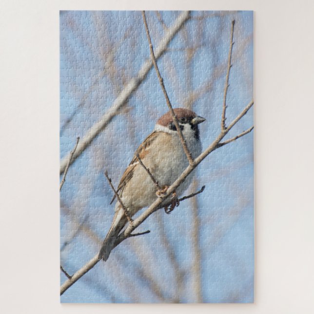 Quebra-cabeça Sparrow (Vertical)