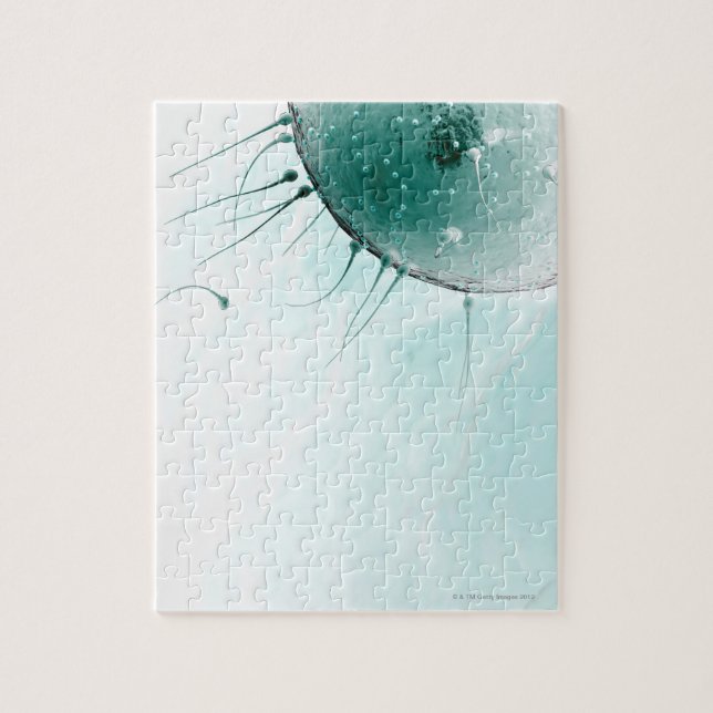 Quebra-cabeça Sperm Fertilizando um Ovum. (Vertical)