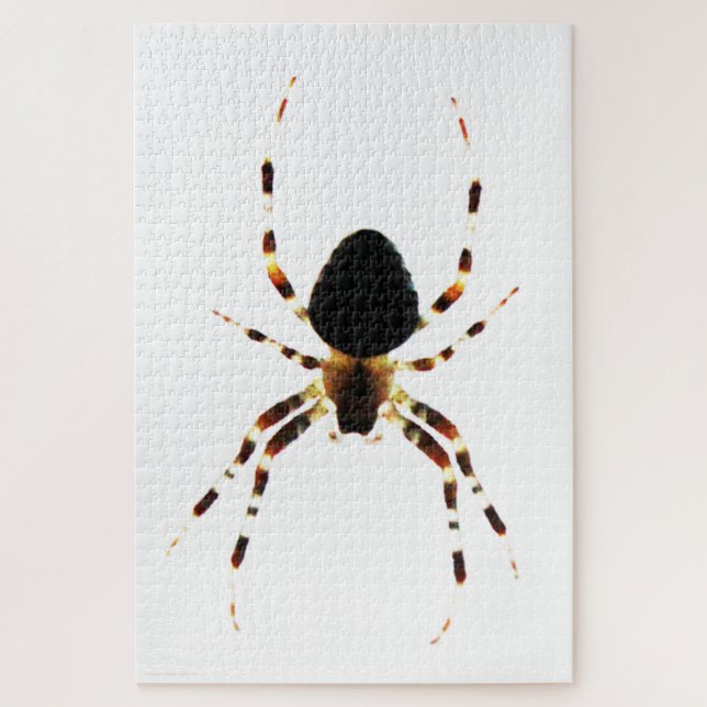 Quebra-cabeça Spider 20x30 1014pc jpm (Vertical)