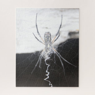 Quebra-cabeça Spider Jigsera