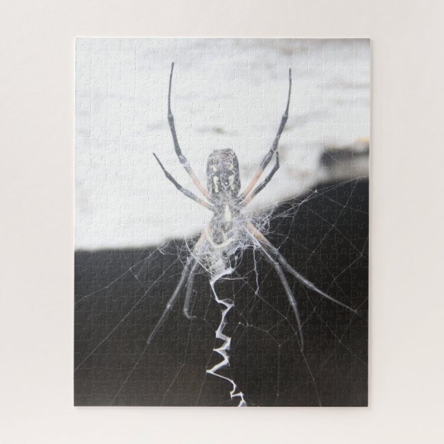 Quebra-cabeça Spider Jigsera (Vertical)