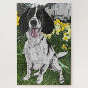 Quebra-cabeça Springer Spaniel Preto e Branco Contra Daffodils