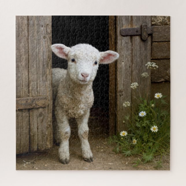 Quebra-cabeça Springtime Lamb Standing In Barn Doorway (Vertical)